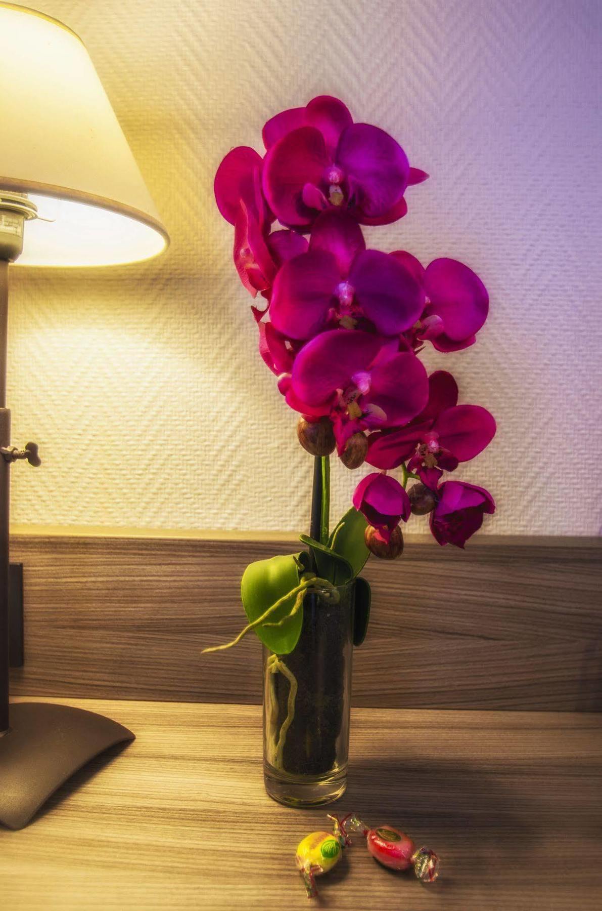 Hotel Prado Avec Parking - Proche Zenith ตูลูส ภายนอก รูปภาพ
